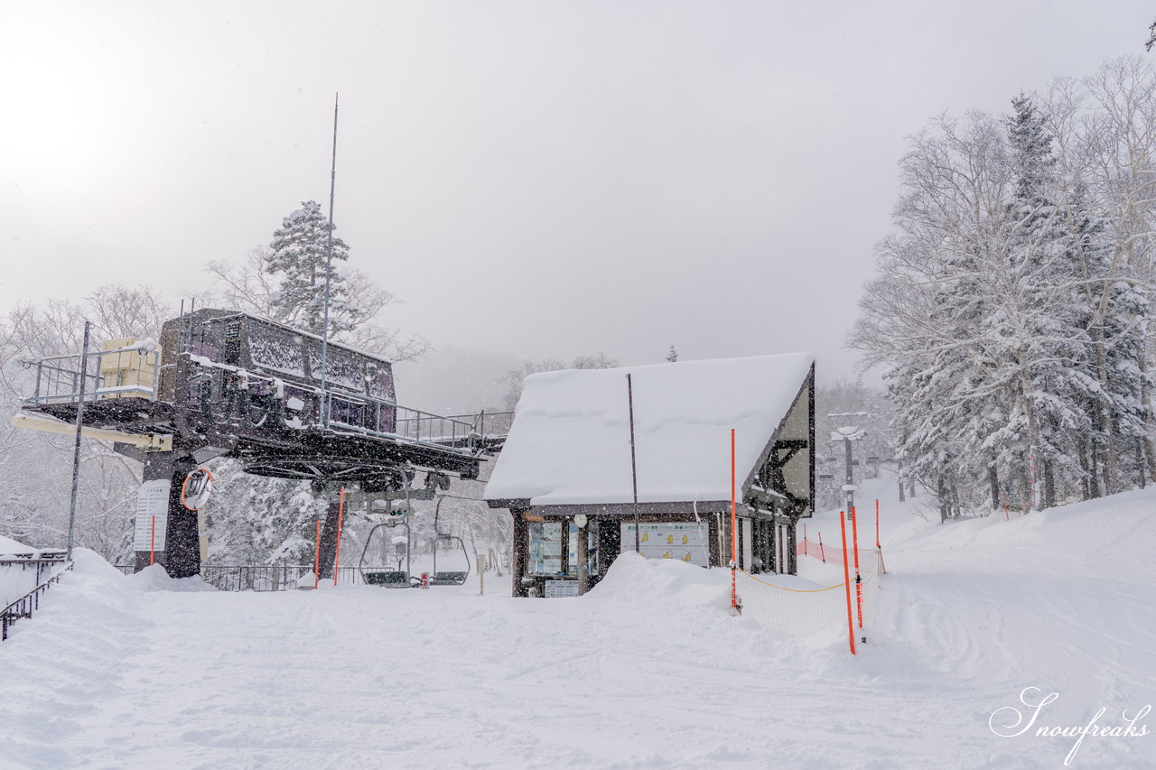 大雪山層雲峡・黒岳ロープウェイスキー場｜極上のふわっふわ粉雪が、たっぷり♪厳冬期を迎えた黒岳のパウダーは、レベルが違います☆